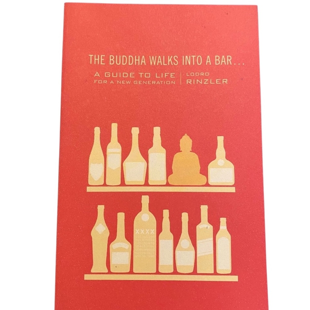 The Buddha Walks into a Bar Lodro Rinzler Modern Buddhism Guide Life Book EUC